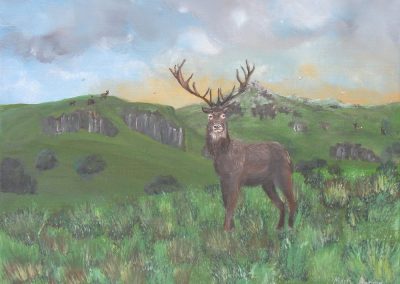 Deer on Moor