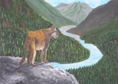 Mountain Lion on peak