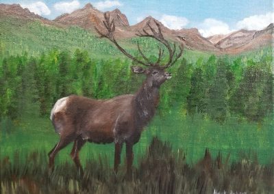 Stag 04